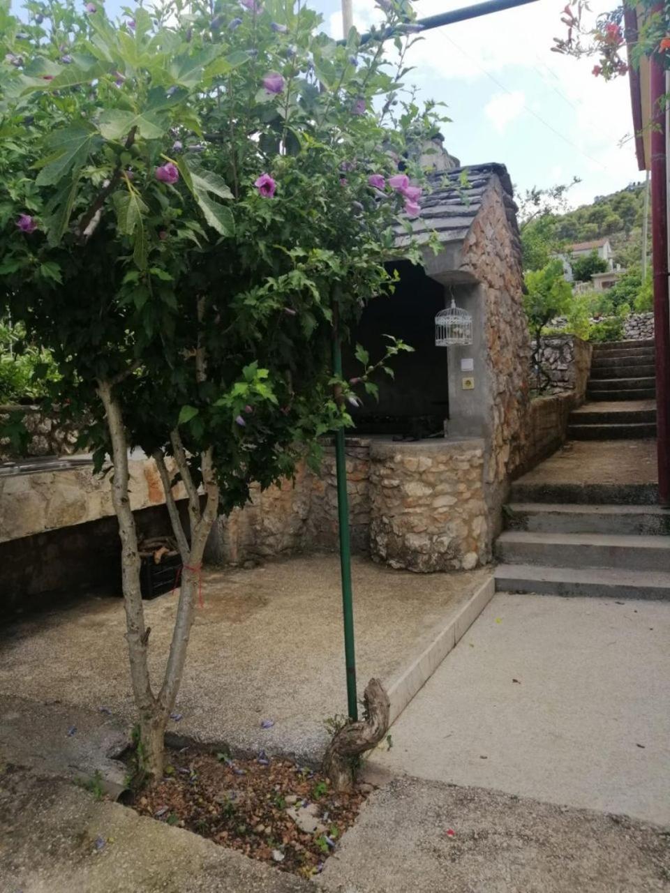 Apartment Anka Marina Dış mekan fotoğraf