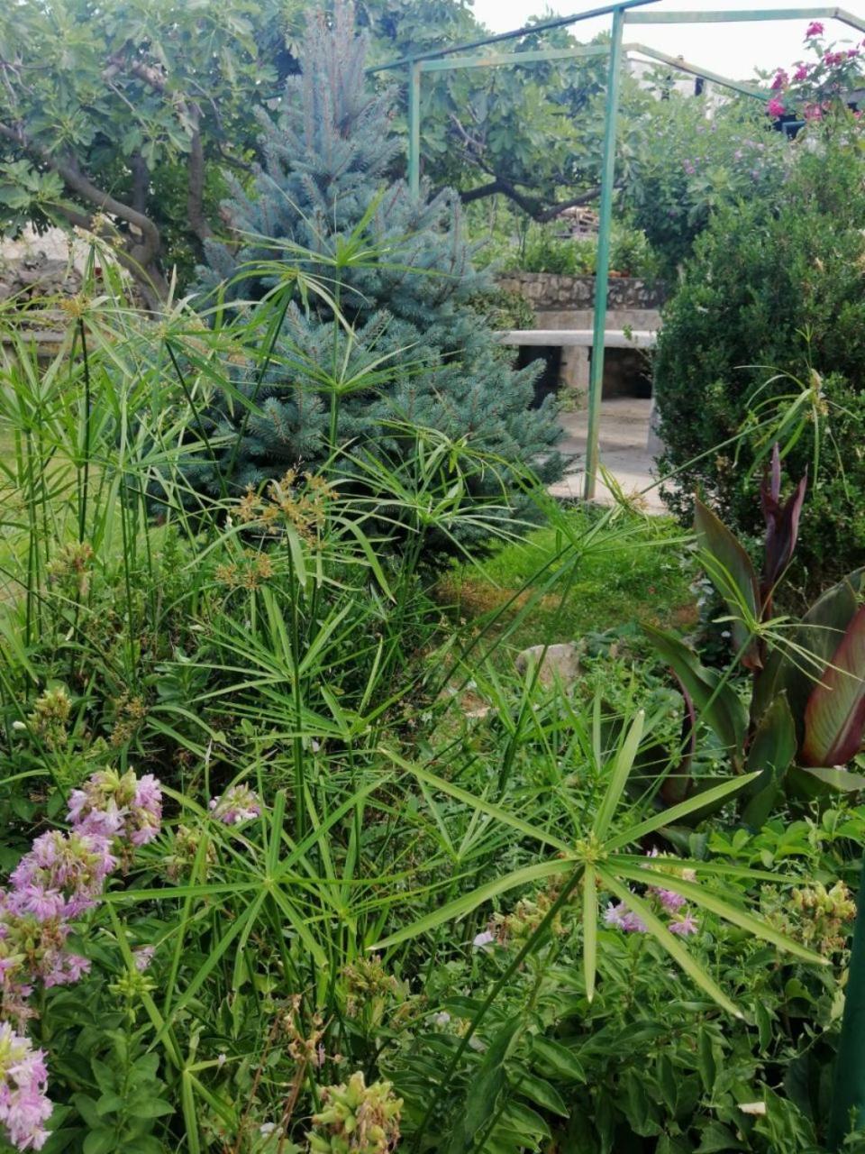 Apartment Anka Marina Dış mekan fotoğraf